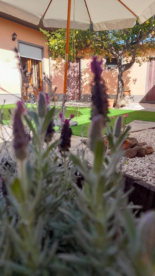 Su Fassoi Cabras Bed & Breakfast Dış mekan fotoğraf