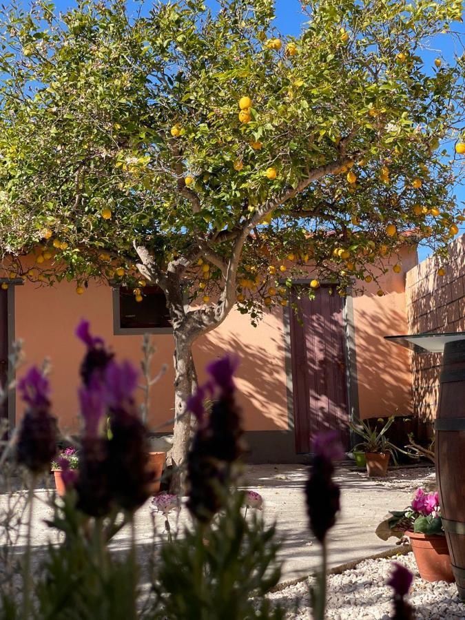 Su Fassoi Cabras Bed & Breakfast Dış mekan fotoğraf