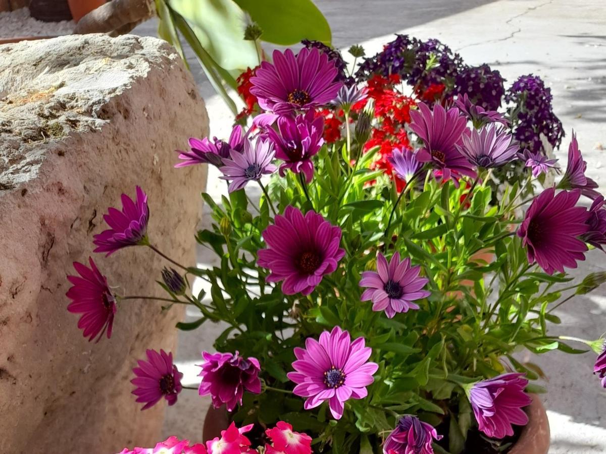 Su Fassoi Cabras Bed & Breakfast Dış mekan fotoğraf