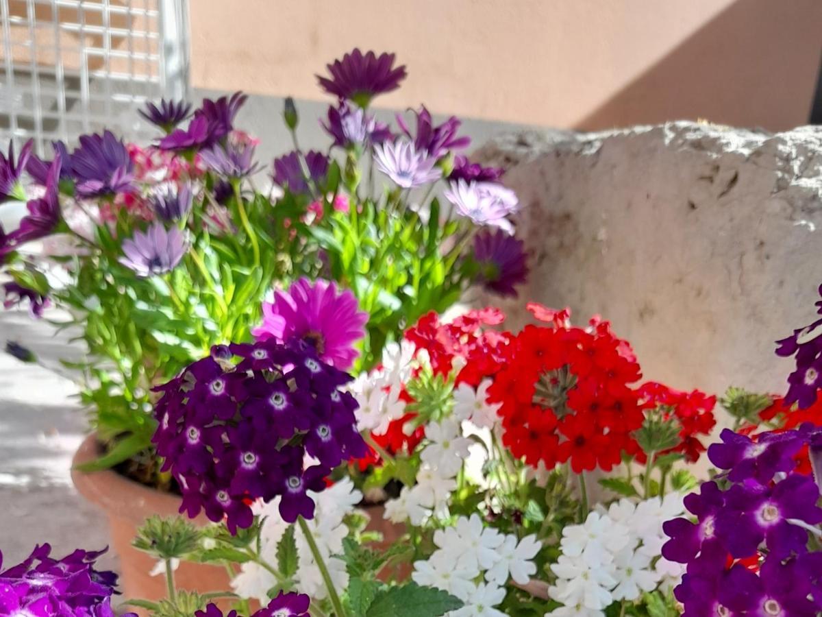 Su Fassoi Cabras Bed & Breakfast Dış mekan fotoğraf