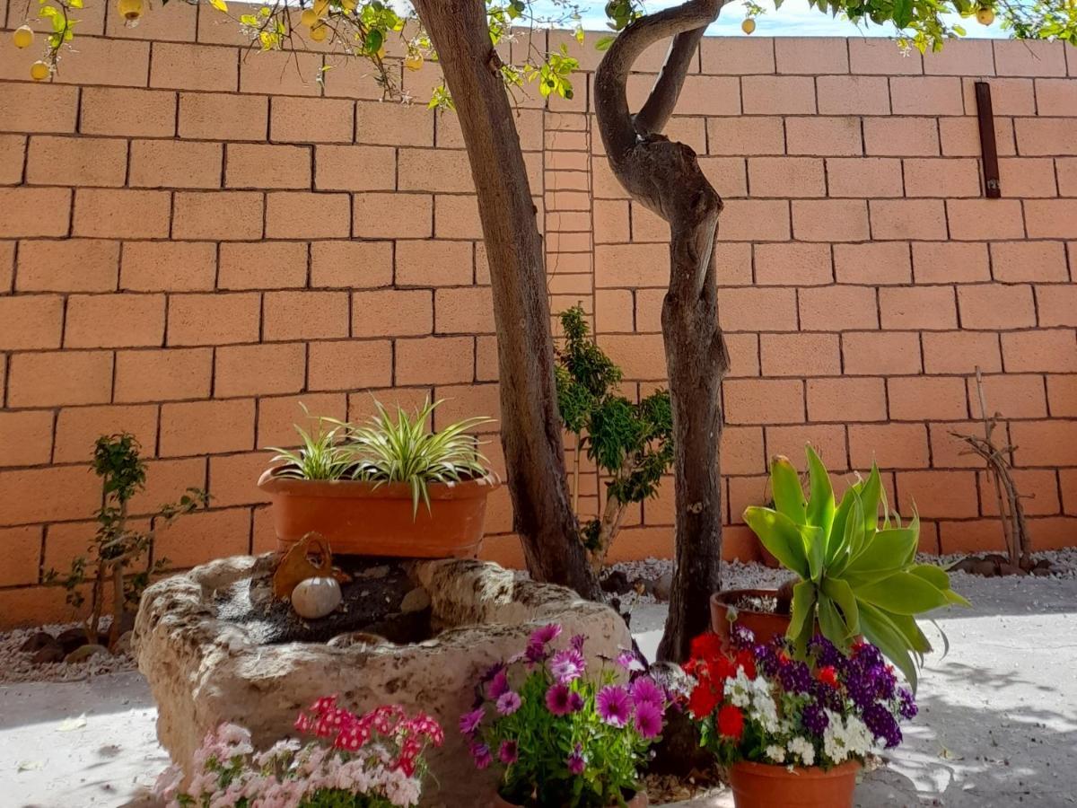 Su Fassoi Cabras Bed & Breakfast Dış mekan fotoğraf