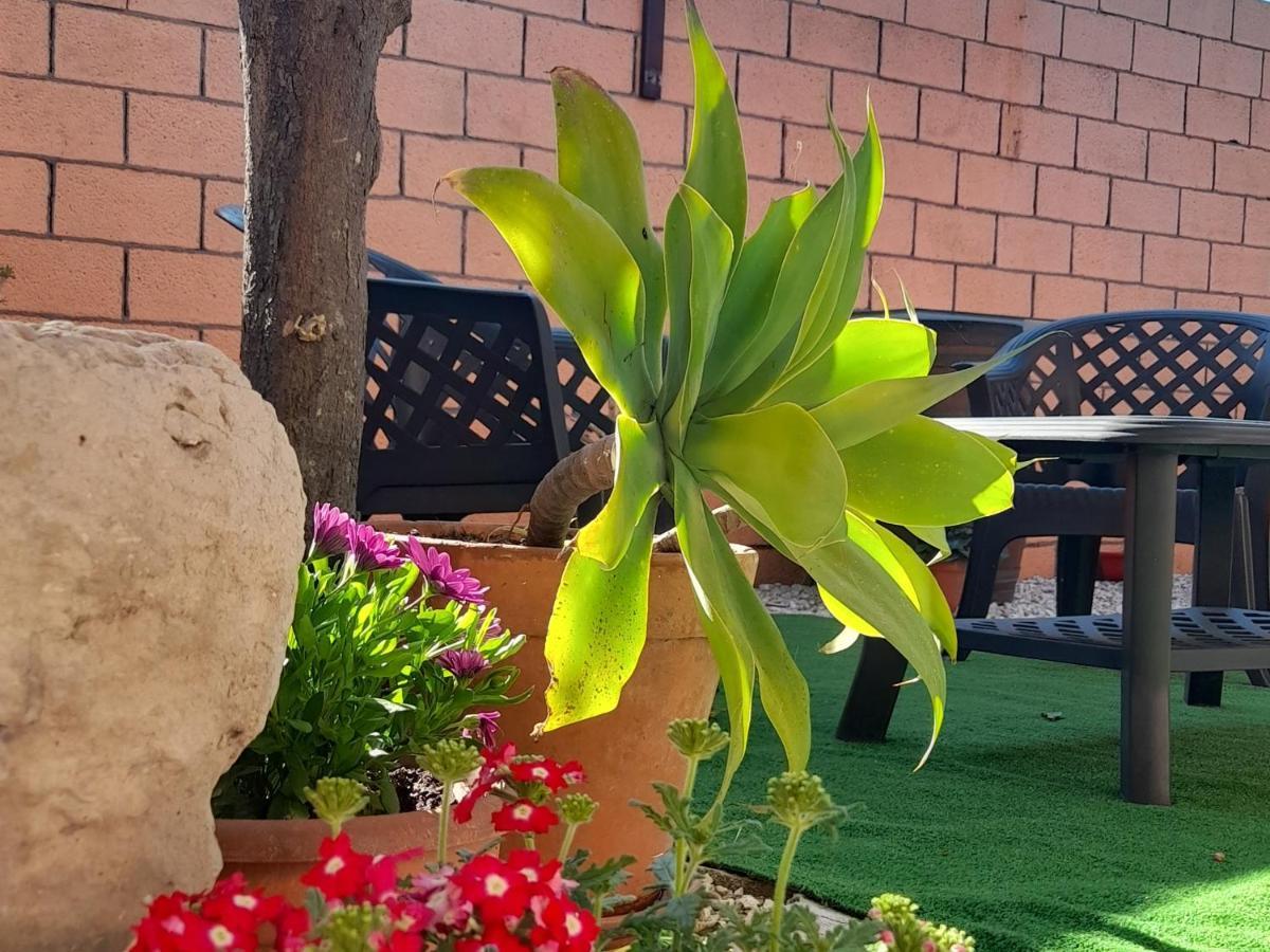 Su Fassoi Cabras Bed & Breakfast Dış mekan fotoğraf
